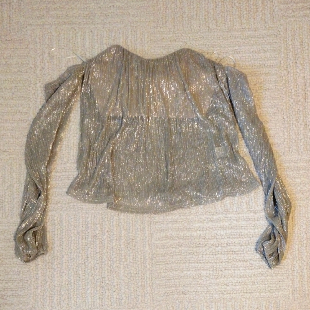 4SI3NNA Metallic Silver Blouse
